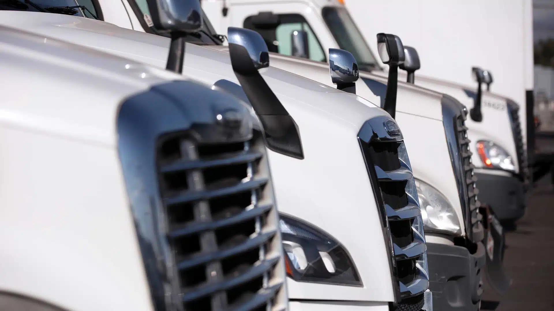 WE HAVE THE TRUCKS YOUR BUSINESS NEEDS