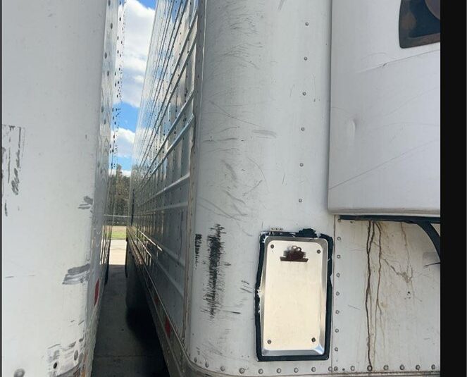 truck 196903 (4+1)-8058822356