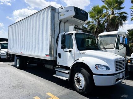 truck 202667 (4+1)-9022812498