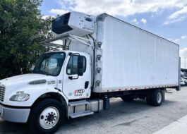 truck 219667 (0+1)-9022923005