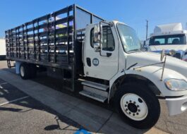 truck 221421 (0+1)-11038122449